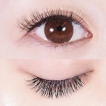 Amazon | Foula(フーラ) クラシックセーブル フラットタイプ Dカール